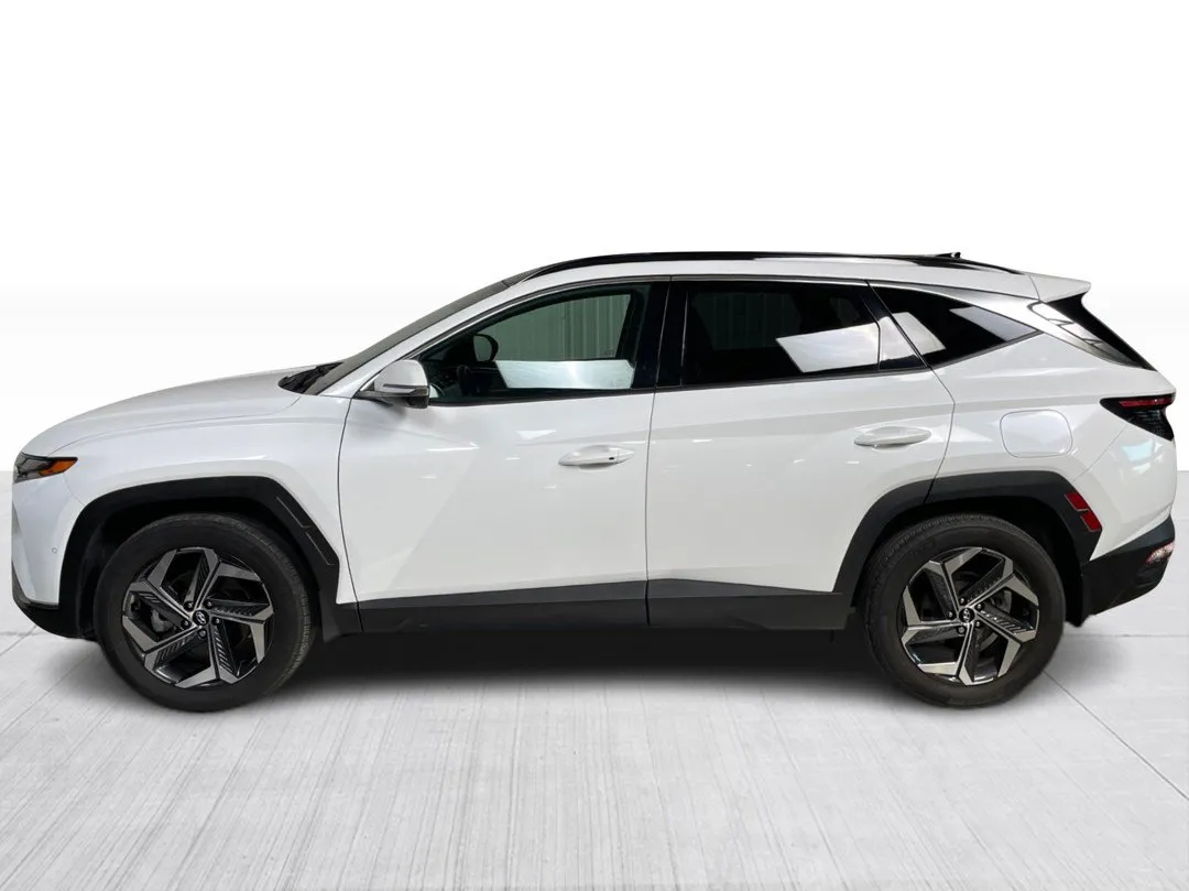 2023 Hyundai Tucson Hybrid for sale - photo 4