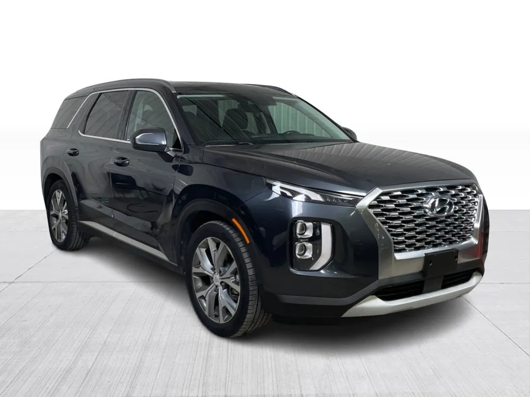 2020 Hyundai Palisade — photo 2