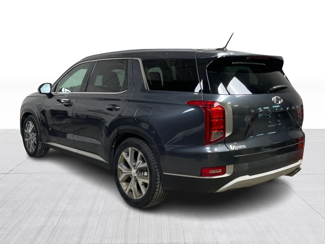 2020 Hyundai Palisade — photo 6