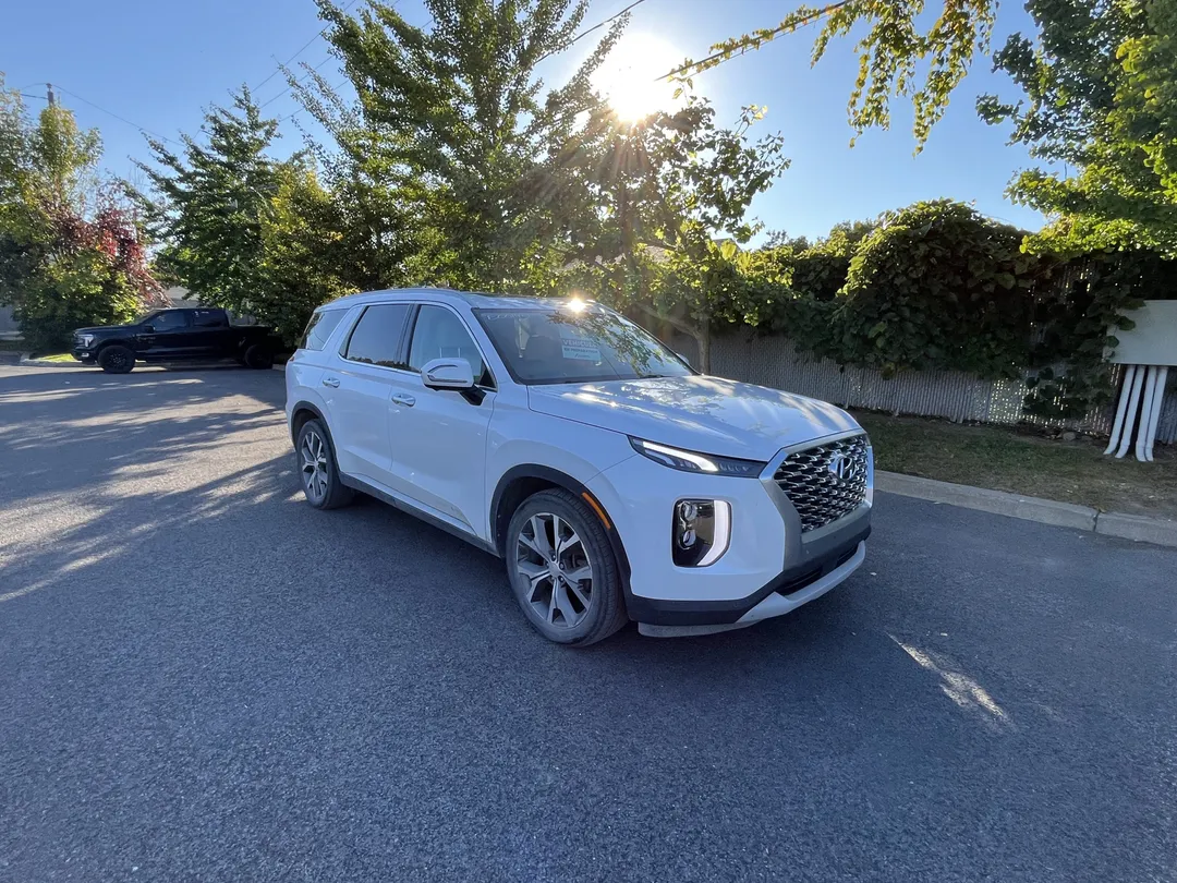 2022 Hyundai Palisade for sale - photo 3