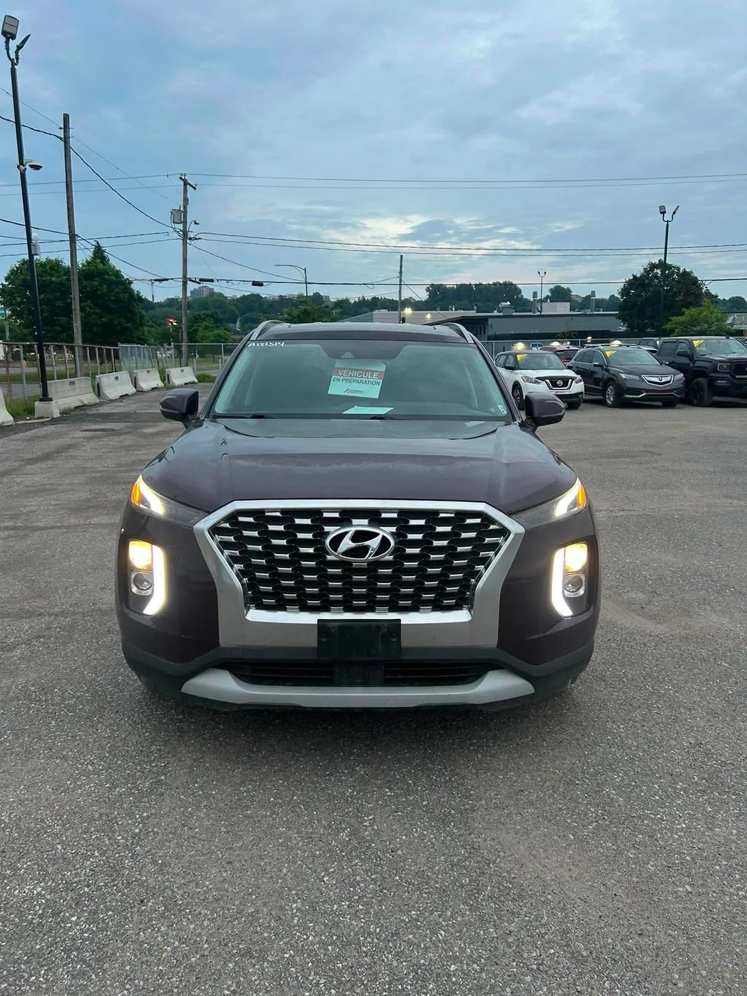 2020 Hyundai Palisade — photo 2