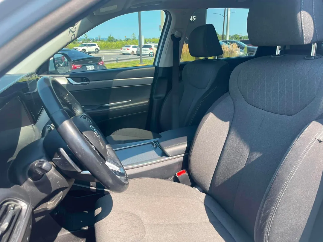2020 Hyundai Palisade — photo 7