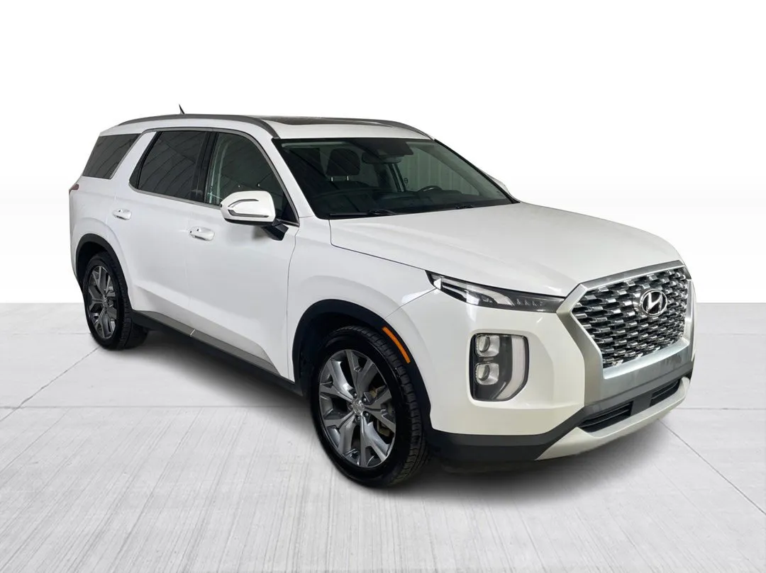 2020 Hyundai Palisade for sale - photo 1