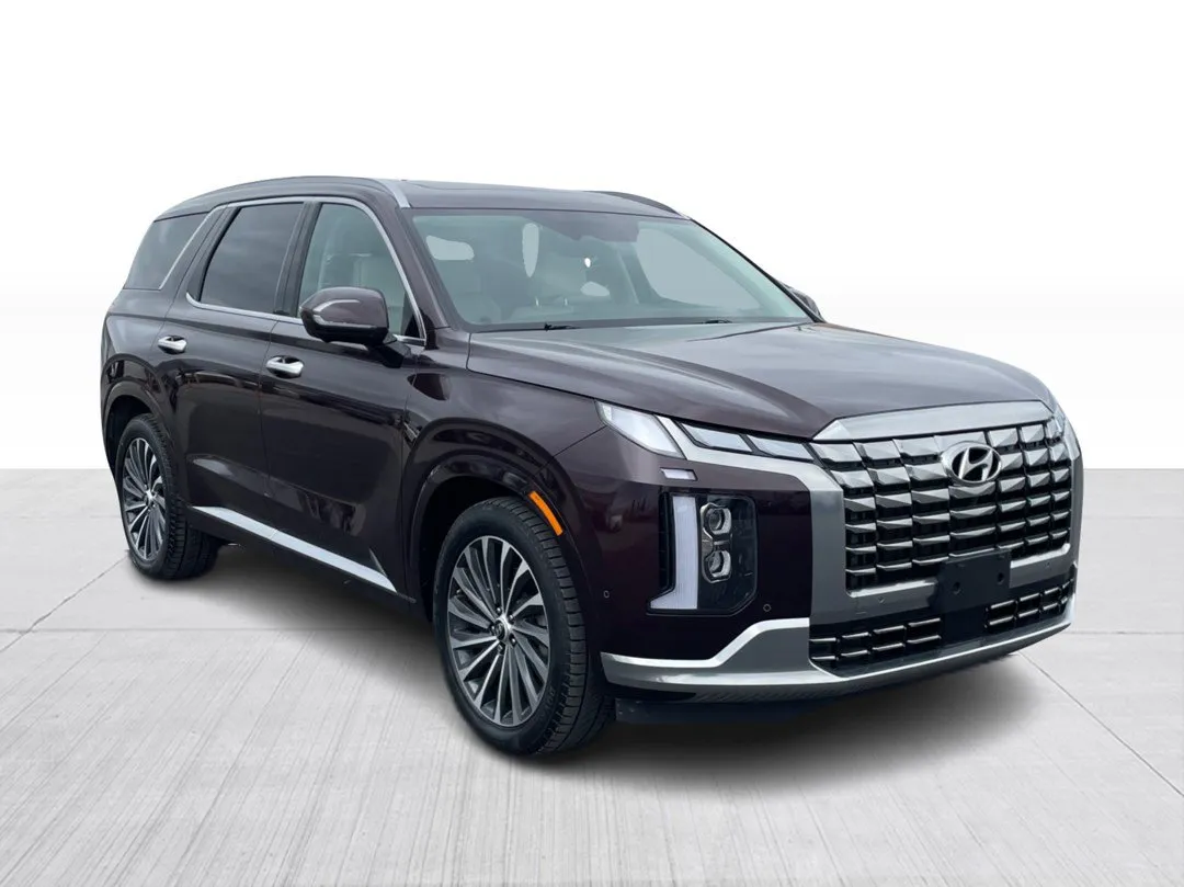Hyundai Palisade 2025 à vendre - photo 1