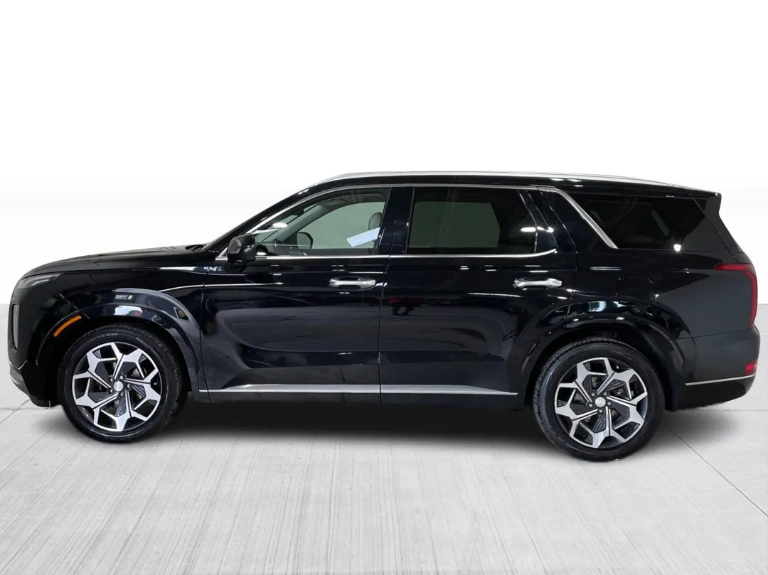 2021 Hyundai Palisade Ultimate Calligraphy AWD, photo 10