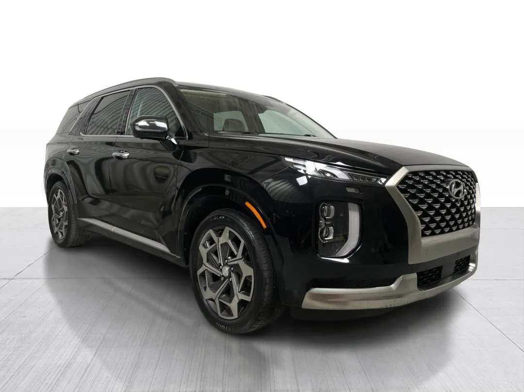 2022 Hyundai Palisade for sale - photo 1