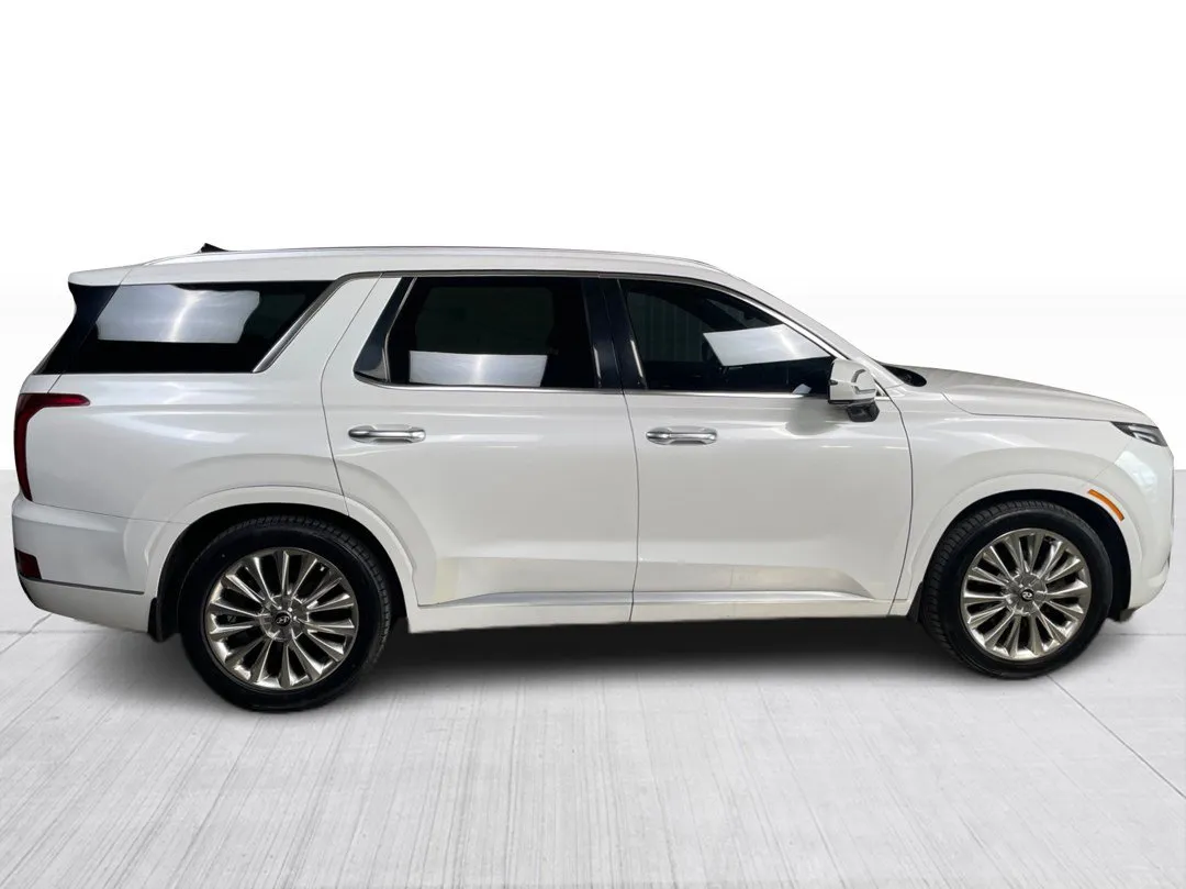2020 Hyundai Palisade for sale - photo 2