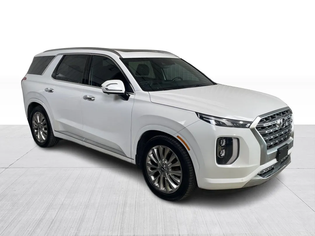 2020 Hyundai Palisade for sale - photo 1