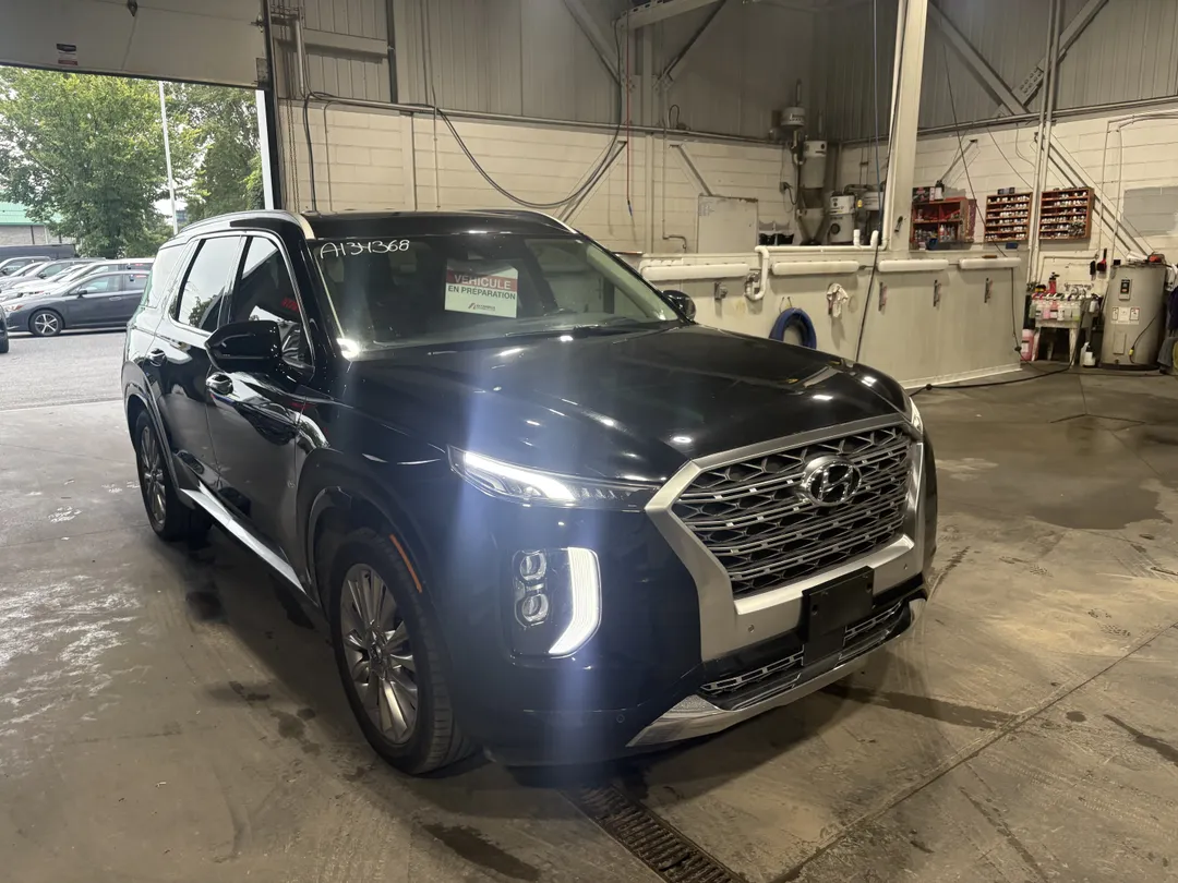 2020 Hyundai Palisade for sale - photo 3