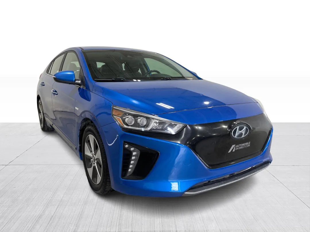 2018 Hyundai Ioniq Electric for sale - photo 1