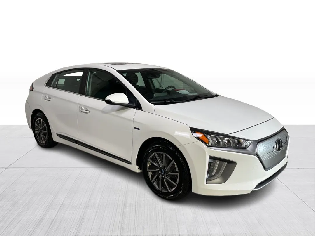 2020 Hyundai Ioniq Electric for sale - photo 1