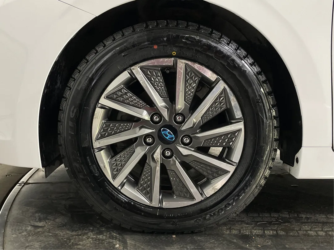 Hyundai Ioniq Electric Ultimate 2020, photo 6