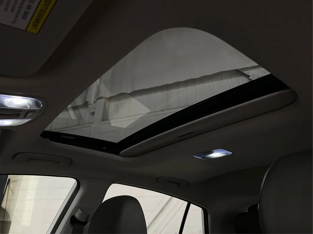 Hyundai Ioniq Electric Ultimate 2020, photo 5