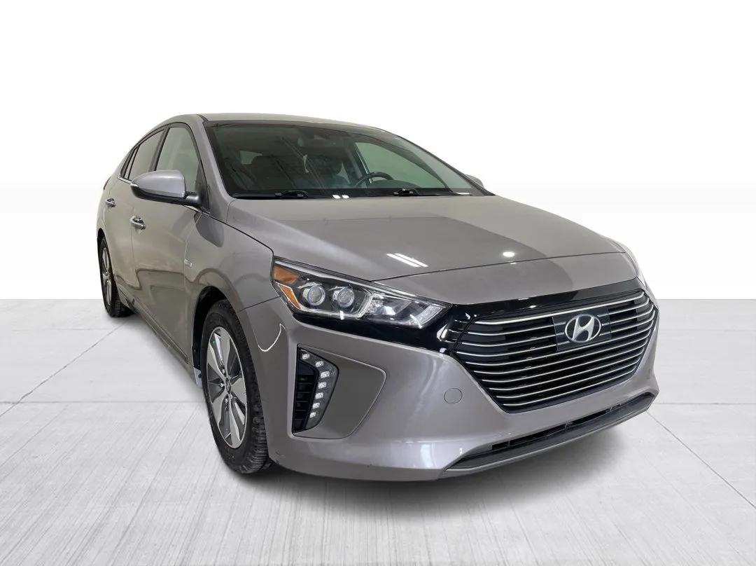 Hyundai Ioniq Electric Plus 2019 à vendre - photo 1