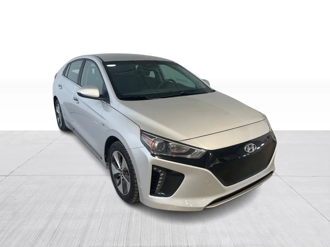 2019 Hyundai Ioniq Electric