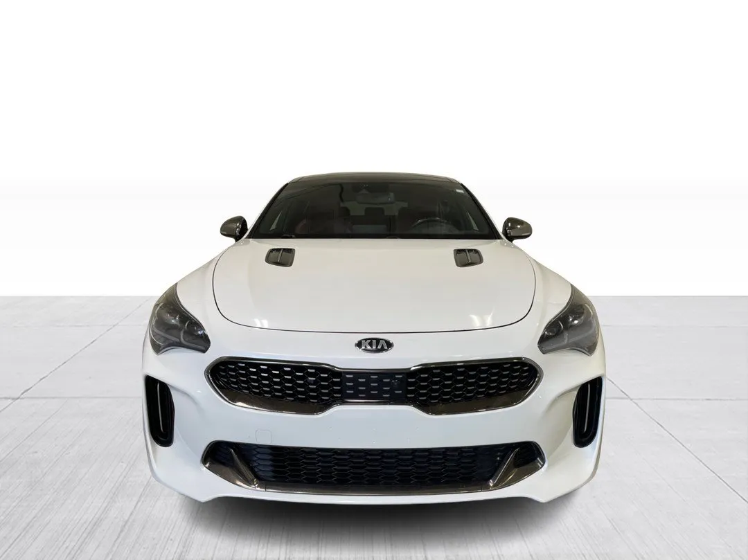 2018 Kia Stinger — photo 8