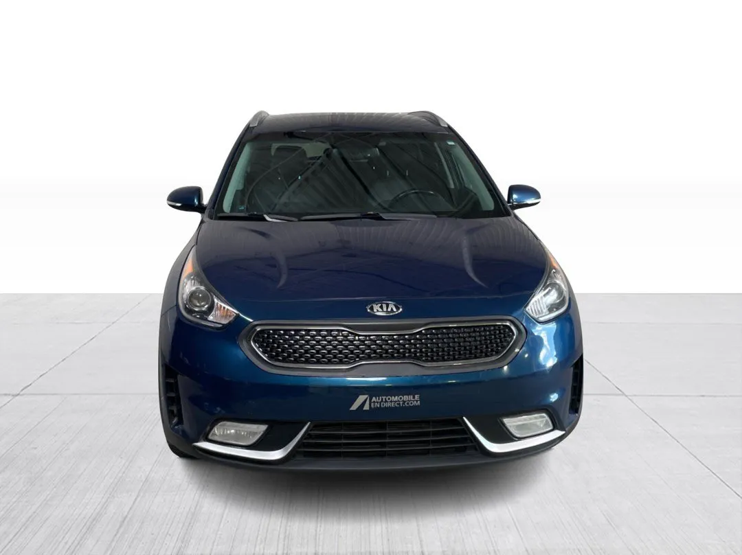 Kia Niro EX 2019, photo 6