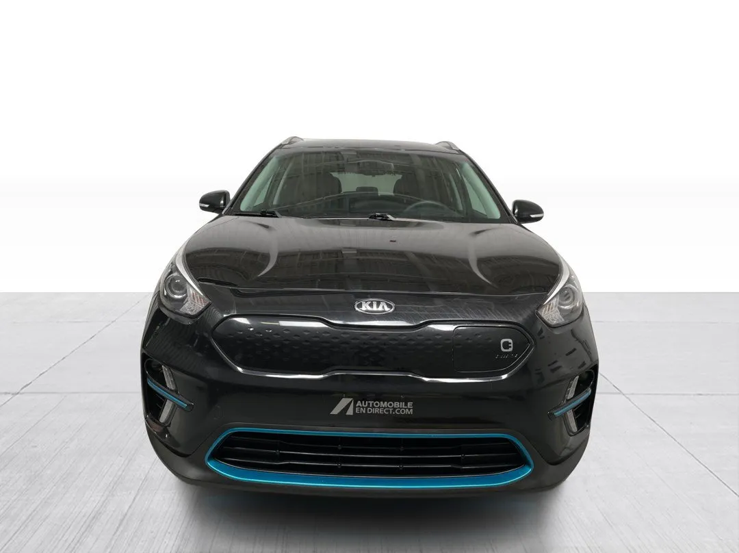 2020 Kia Niro EV EX, photo 7