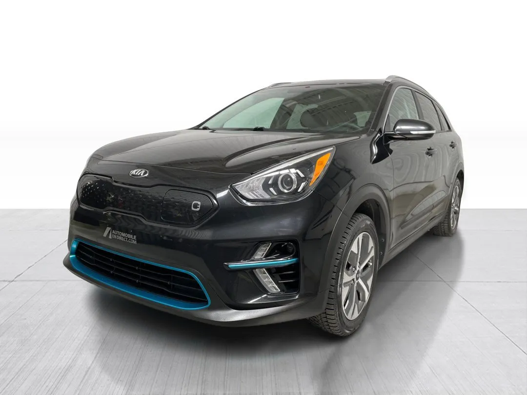 2020 Kia Niro EV EX, photo 8
