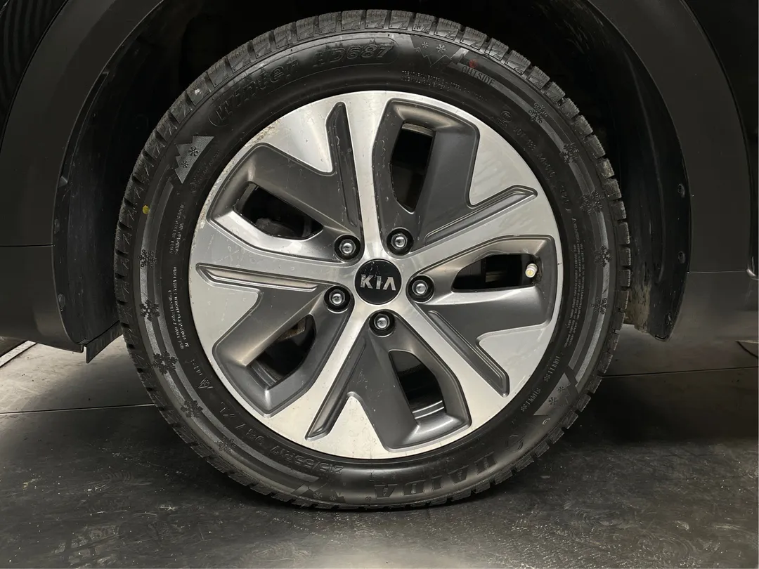 2020 Kia Niro EV EX, photo 5