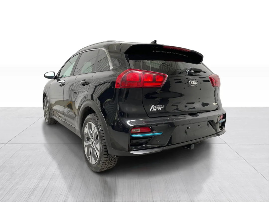2020 Kia Niro EV EX, photo 10