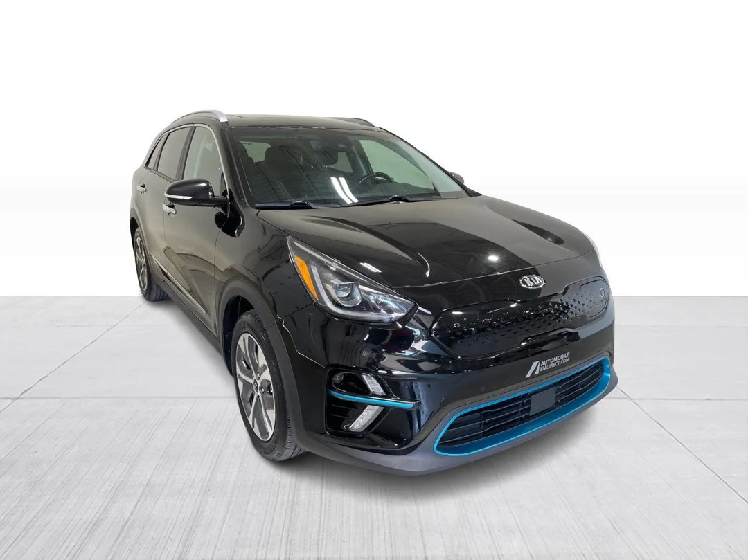 2020 Kia Niro EV