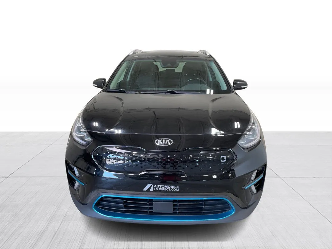 2020 Kia Niro EV — photo 8