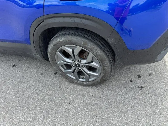 2024 Kia Seltos — photo 6