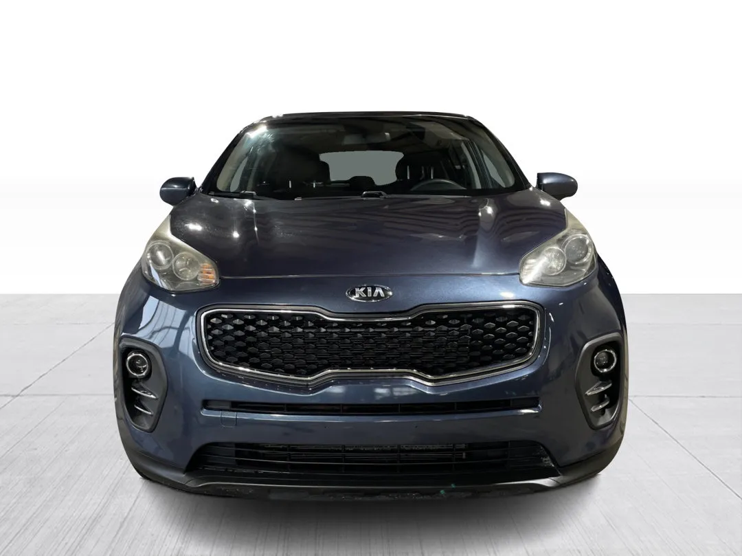 2019 Kia Sportage — photo 6