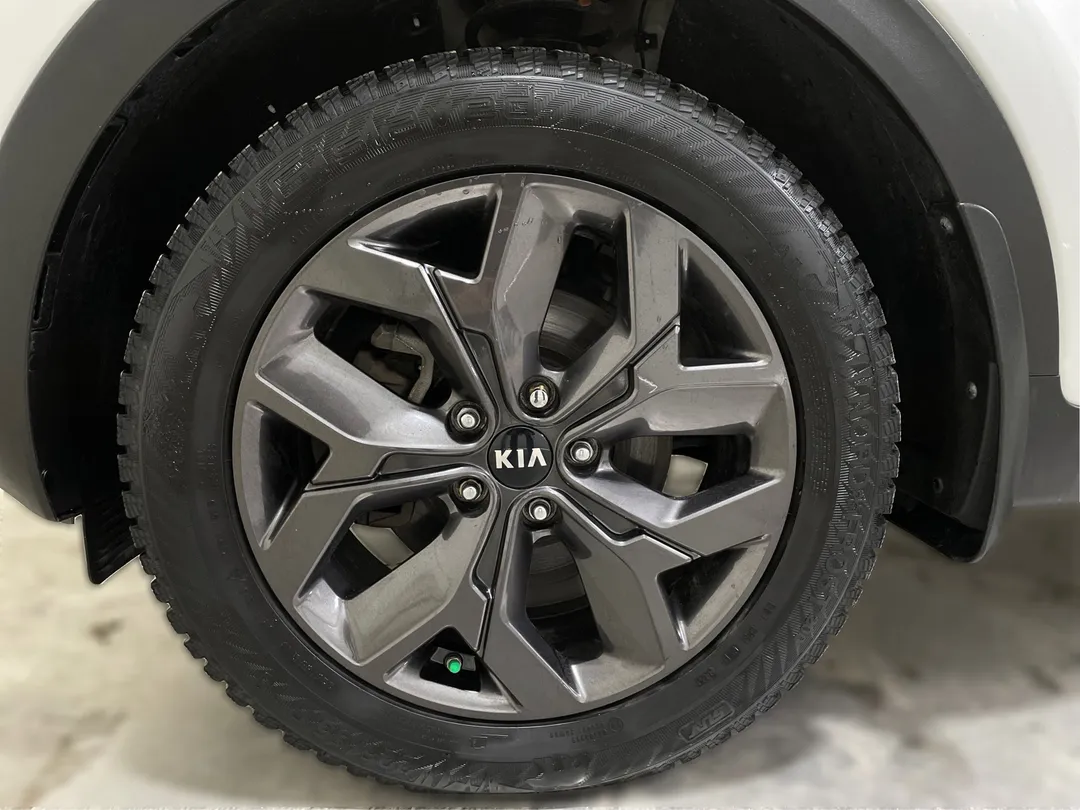2022 Kia Sportage — photo 6