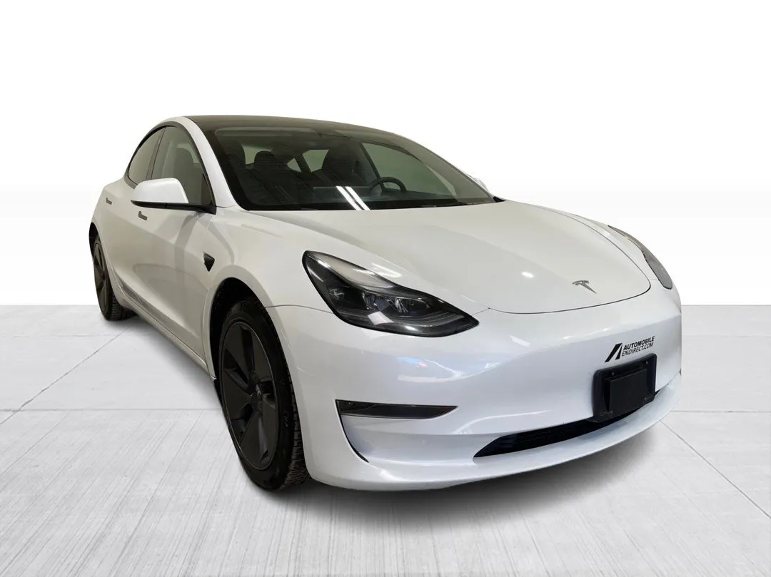 2023 Tesla Model 3 Standard range, photo 2