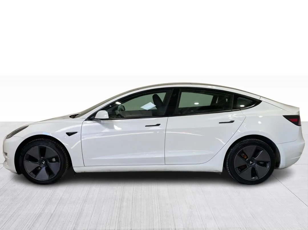 2023 Tesla Model 3 Standard range, photo 5