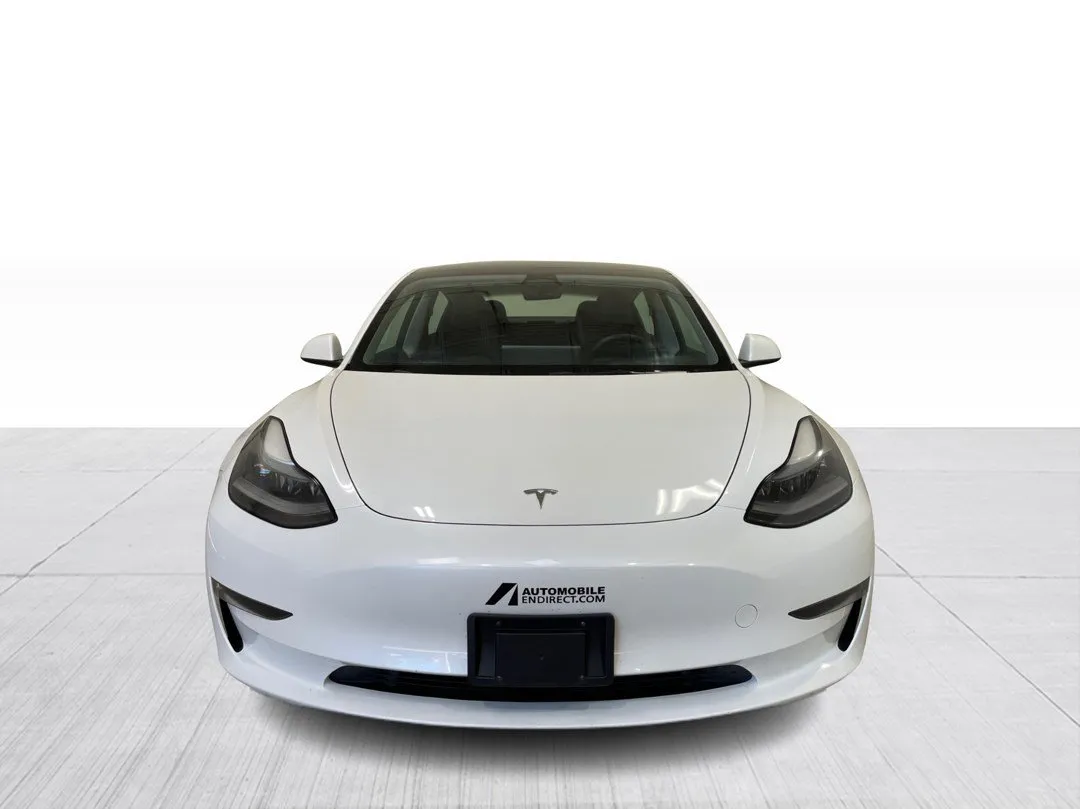 2023 Tesla Model 3 Standard range, photo 3