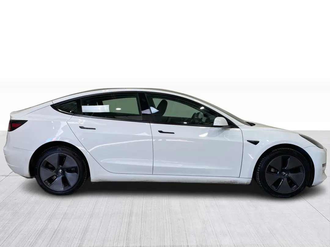 2023 Tesla Model 3 Standard range, photo 1