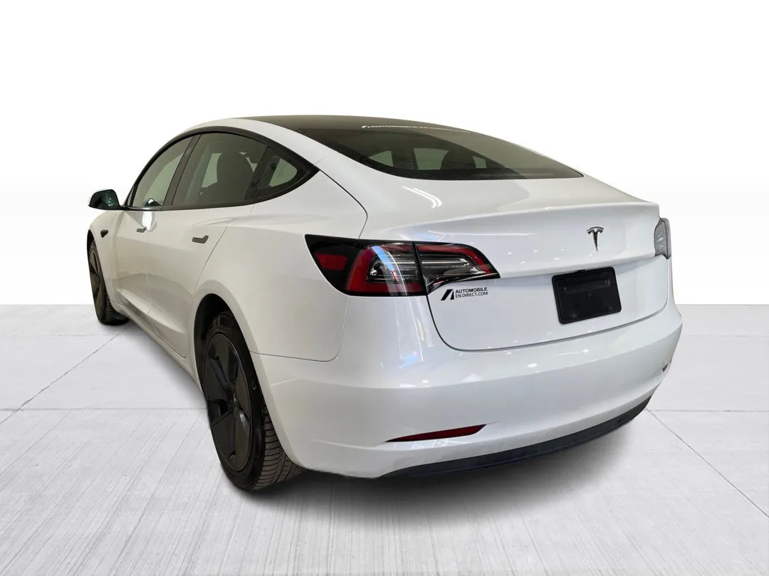2023 Tesla Model 3 Standard range, photo 6