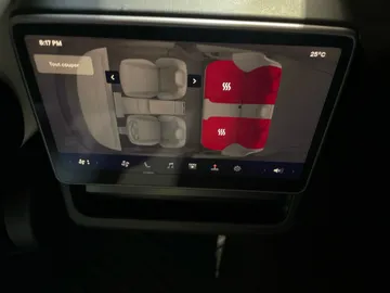 2024 Tesla Model 3 - image 29