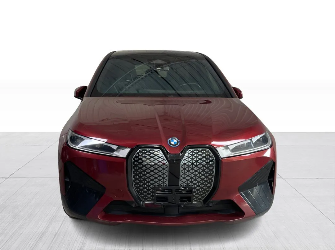 2023 BMW IX xDrive40, photo 8