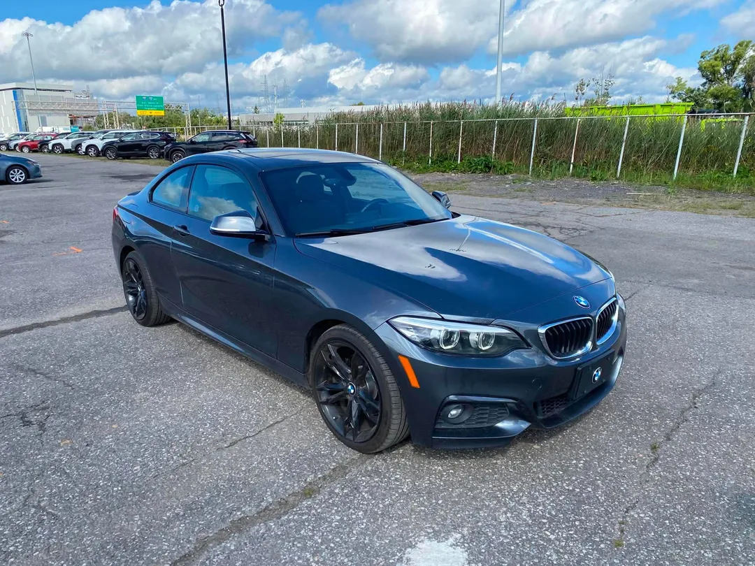 2018 BMW 2 Series for sale - photo 1