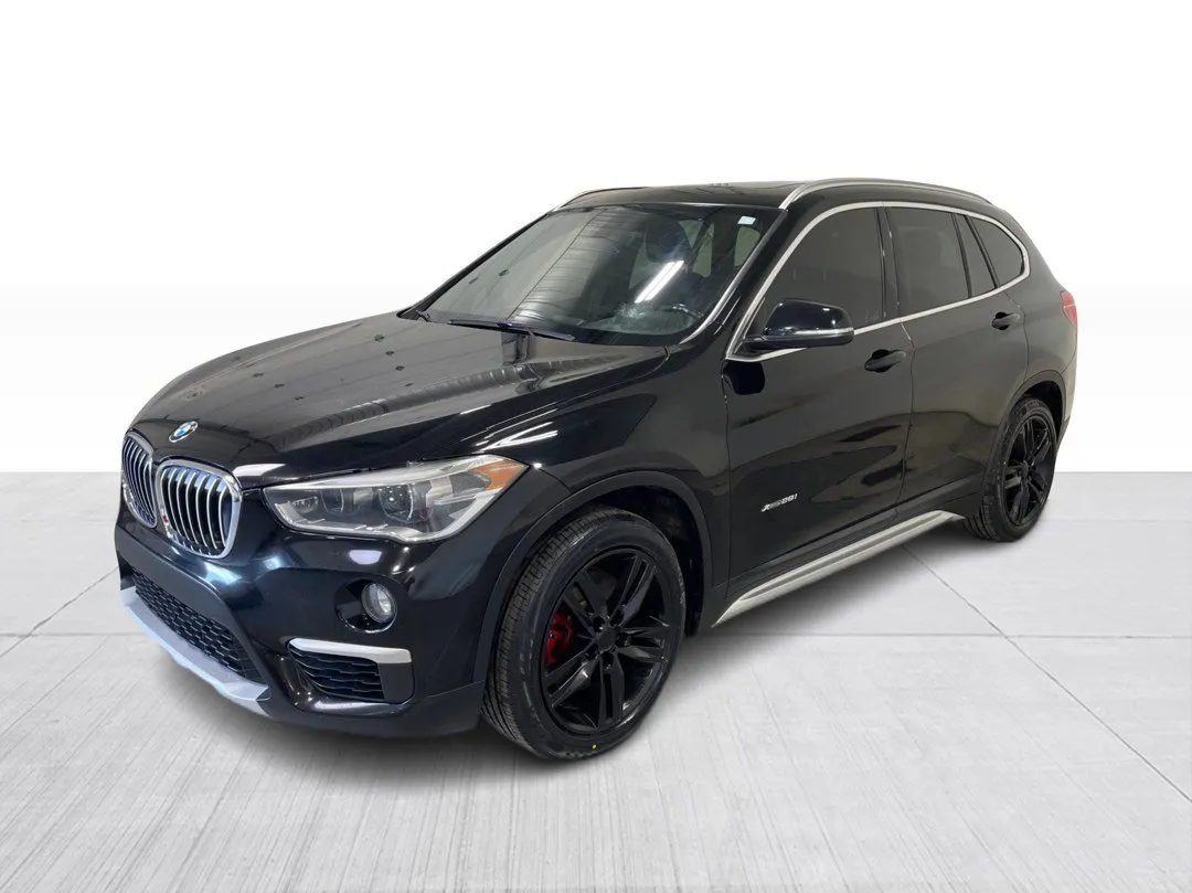 2016 BMW X1 — photo 8