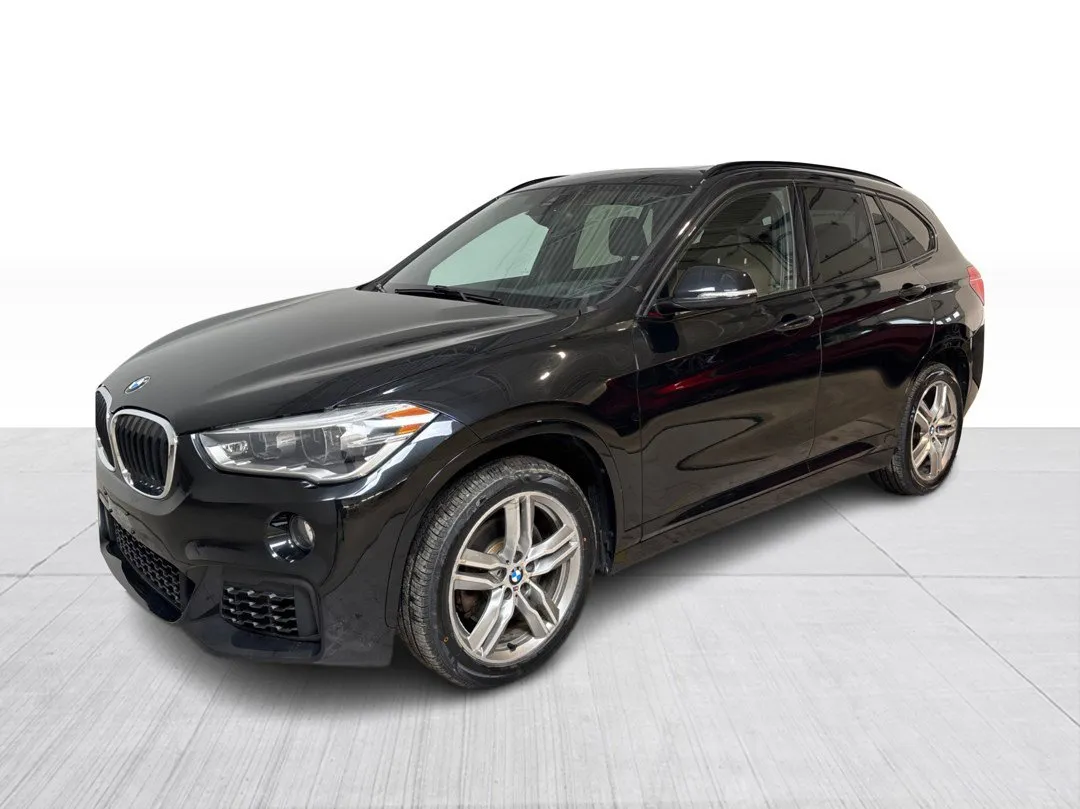 2018 BMW X1 — photo 8