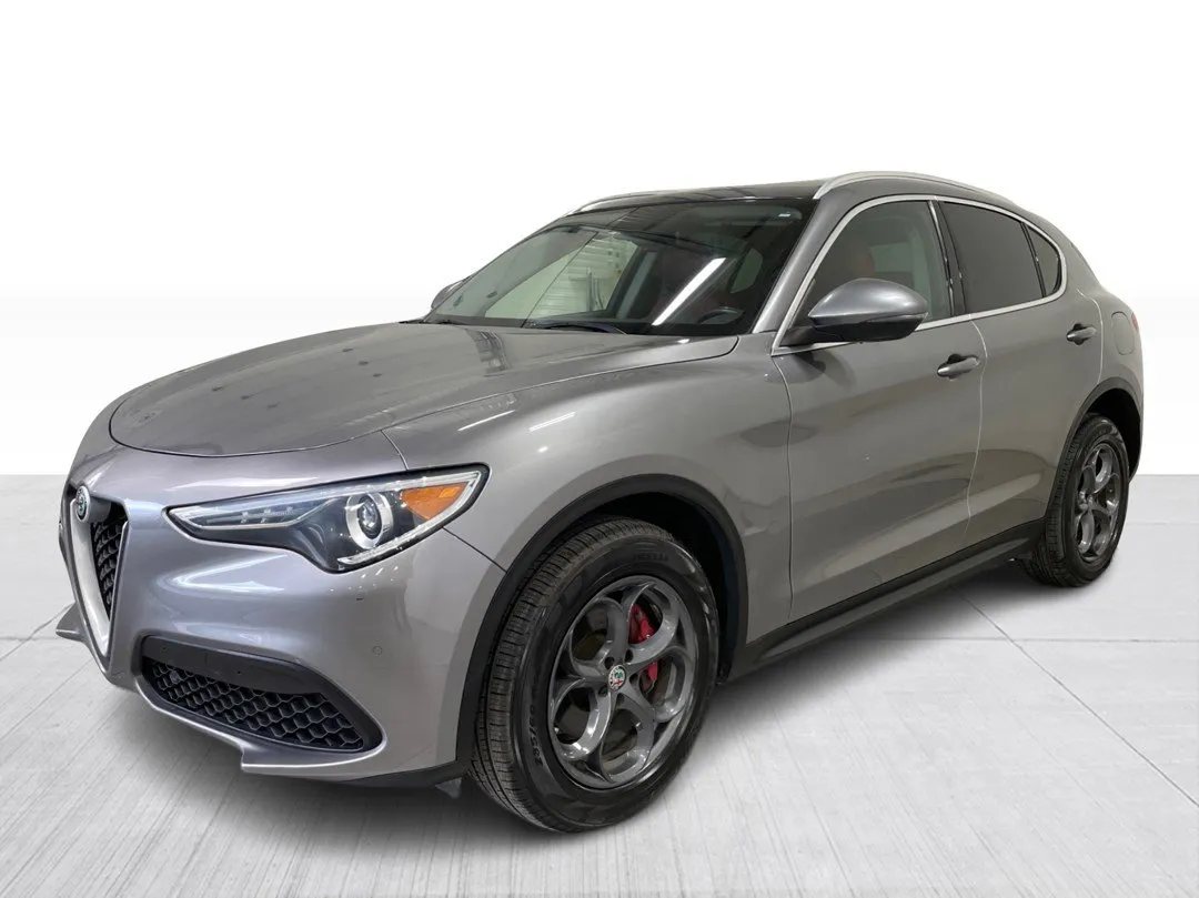 2018 Alfa Romeo Stelvio — photo 8