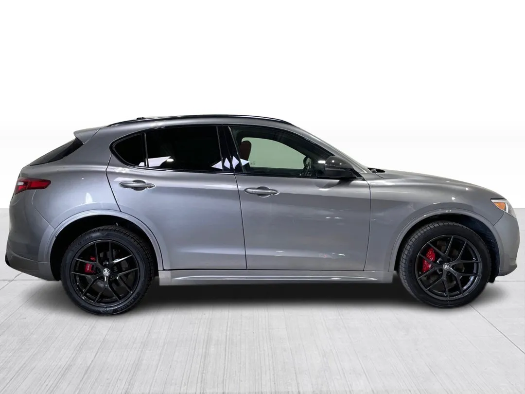 2020 Alfa Romeo Stelvio — photo 2