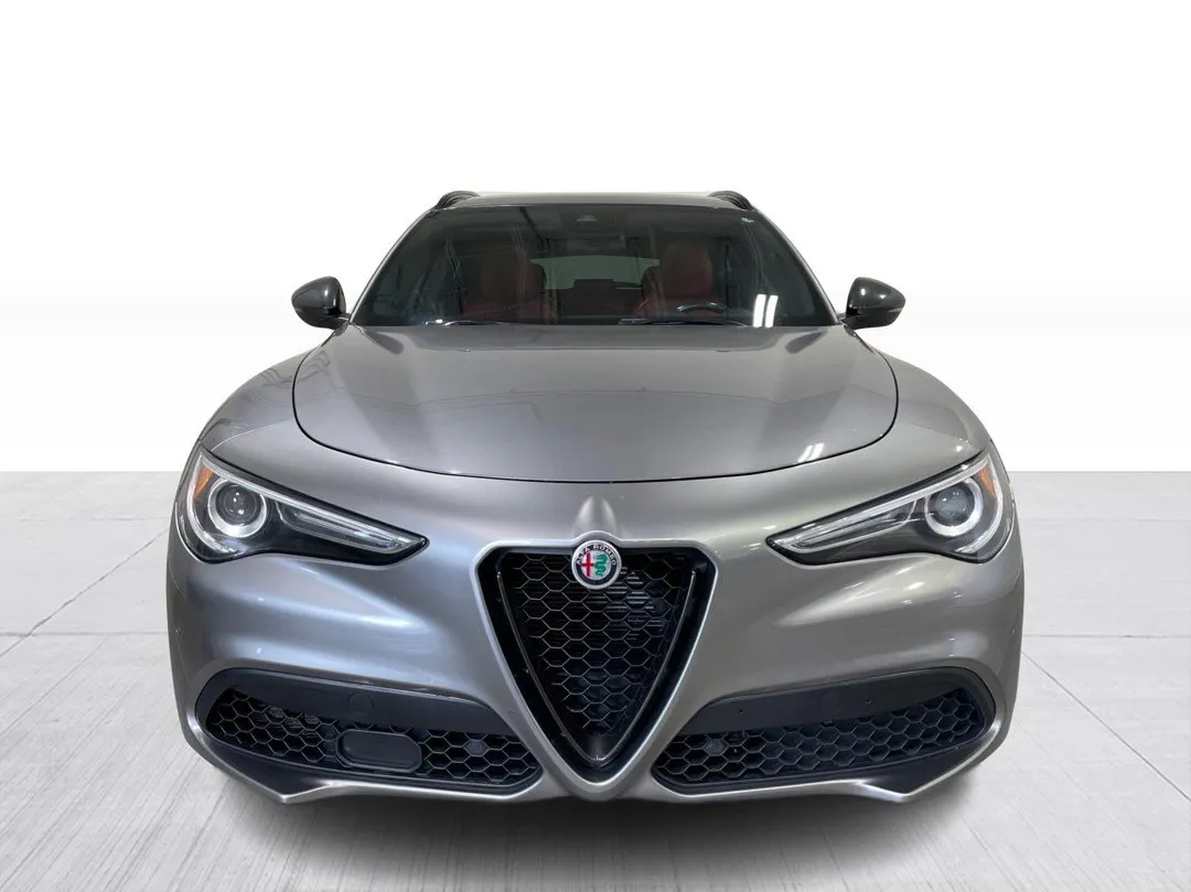 2020 Alfa Romeo Stelvio — photo 8