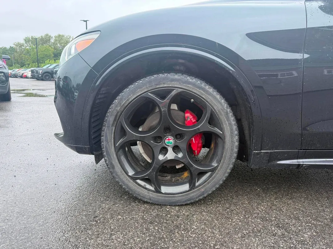 2021 Alfa Romeo Stelvio — photo 6