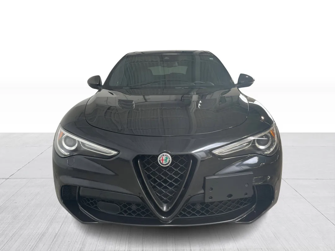 2021 Alfa Romeo Stelvio — photo 8